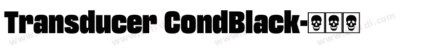 Transducer CondBlack字体转换
